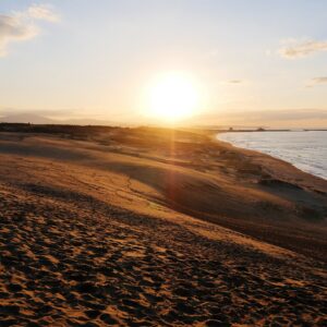 Full Day Paracas + Ica + Atardecer en Buggy